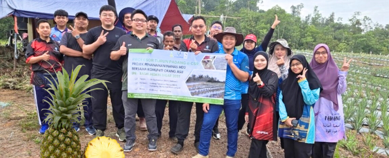 MD2 Pineapple Plantation Project for Professor Turun Padang