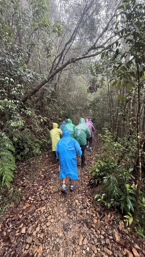 Starting the climb from Timpohon Gate in a drizzle Image